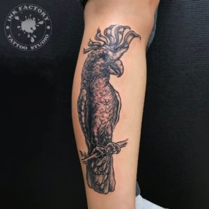 фото тату Реалистичная тату змея на плече 207